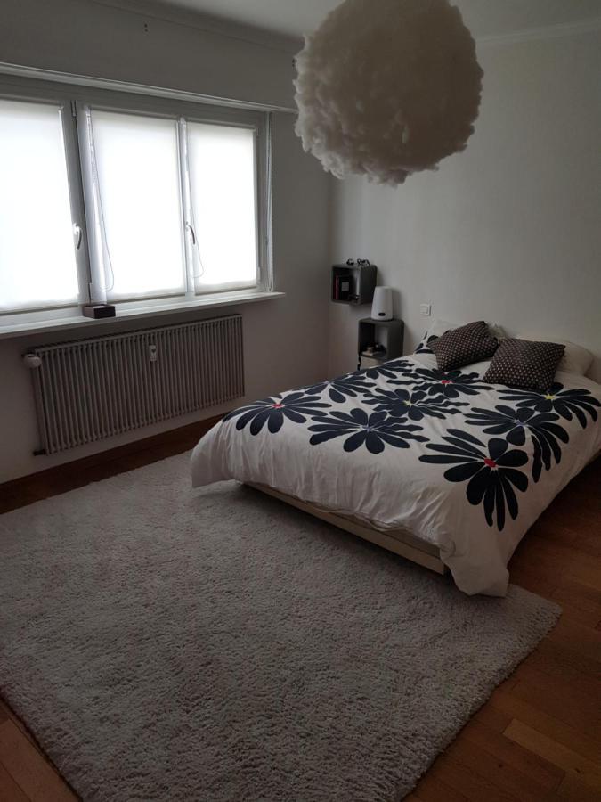 Joli Appartement Calme Et Spacieux, Proche Strasbourg Duppigheim Екстер'єр фото